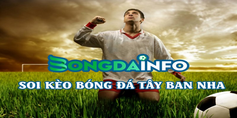 Bóng đá INFO là chuyên trang cập nhật các thông tin về bóng đá trực tuyến