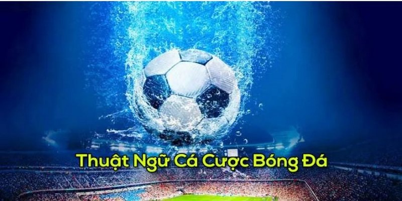 Thuật ngữ cá độ bóng đá là các từ ngữ sử dụng chuyên biệt trong cá cược