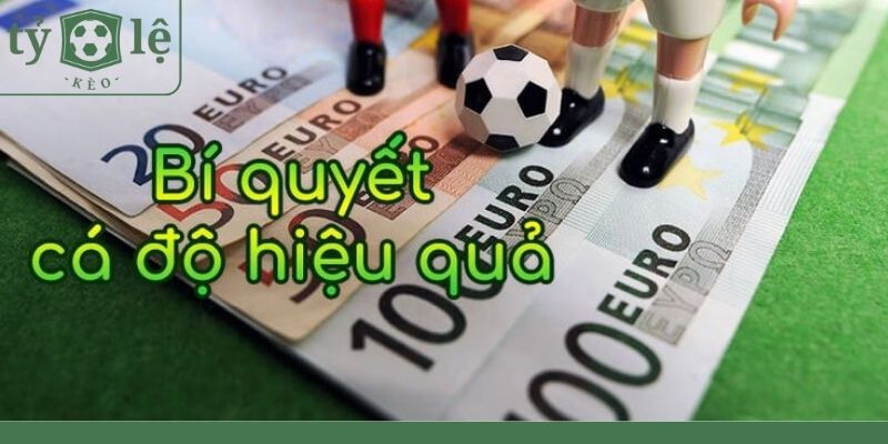 Kinh nghiệm chơi cá độ bóng đá