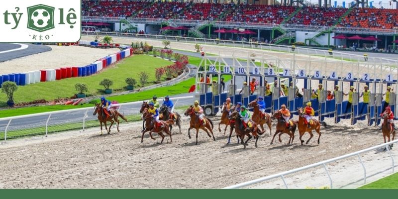 Khái niệm về đặt cược đua ngựa là gì