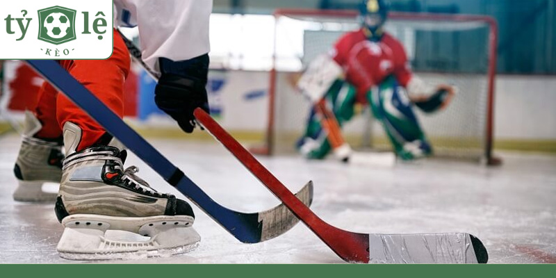 Tìm hiểu bộ môn khúc côn cầu