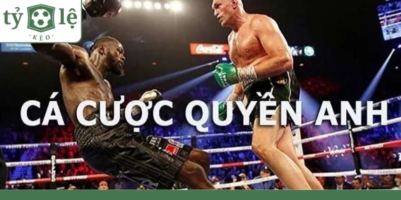 Khái niệm về cá cược quyền anh là gì?