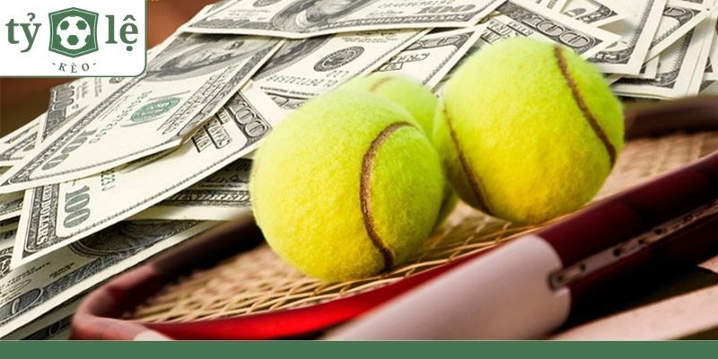 Cách đặt cược tennis hiệu quả dành cho cược thủ