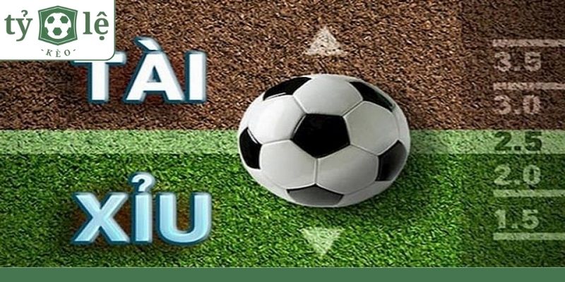 Gợi Ý Cách Soi Kèo Tài Xỉu Từ Chuyên Gia Uy Tín Các phương pháp chơi tài xỉu phổ biến hiện nay