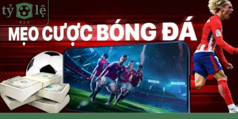 Kinh nghiệm cá độ bóng đá hiệu quả từ cao thủ thắng nhiều năm