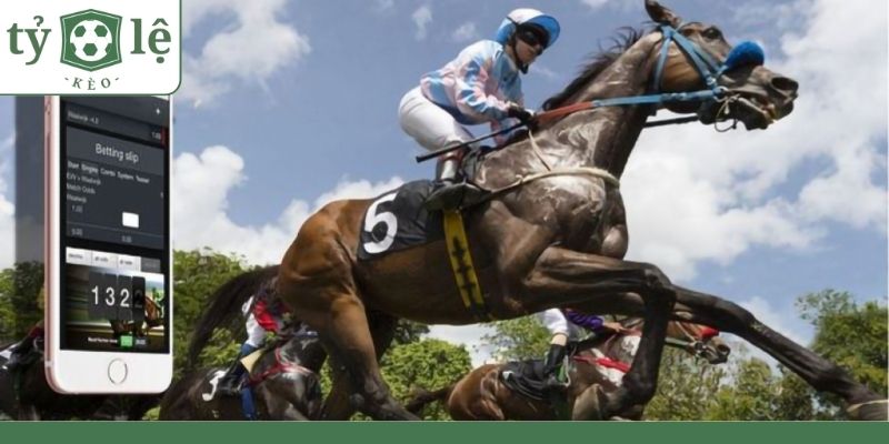 Mách bạn một số mẹo đặt cược đua ngựa bách phát bách trúng