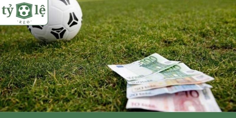 Gợi ý các cách lựa chọn kèo lựa để tăng cơ hội thắng