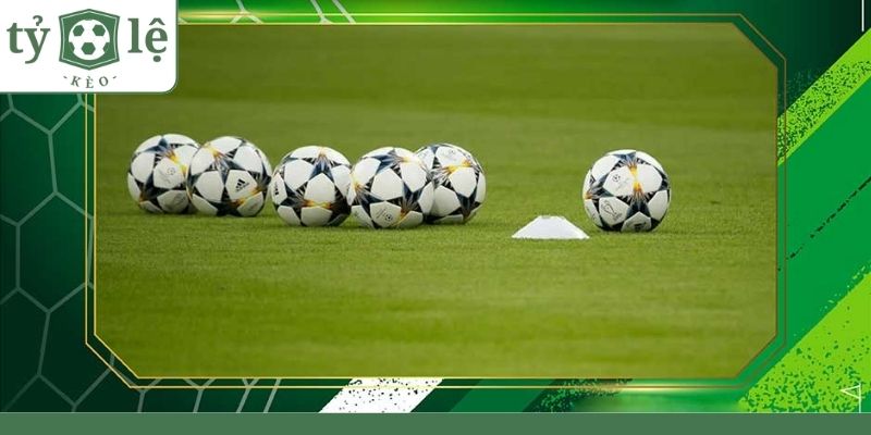 Kèo Lựa Là Gì? Mẹo Đặt Cược Kèo Lựa Từ A - Z Tất Thắng Cách hiểu kèo lựa là gì đơn giản, dễ hiểu nhất