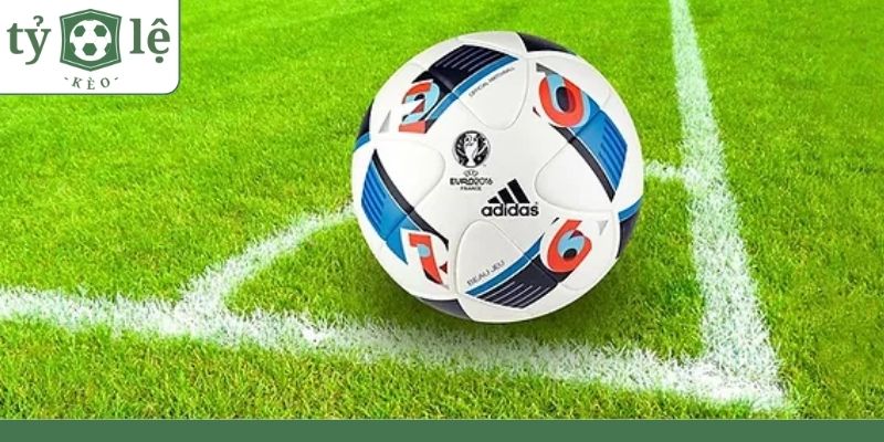 Kinh nghiệm cá cược kèo lựa có khả năng trúng cao